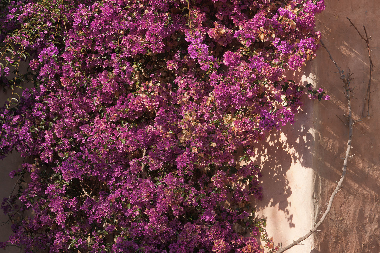 20111205_carmel_0012